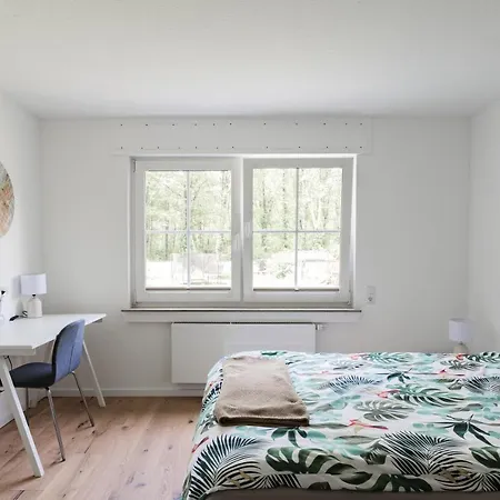 Apartment Grosse Gemutliche Mit Waldblick